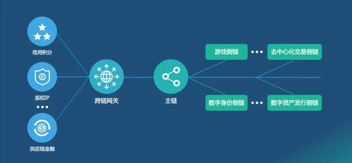 未來網(wǎng)絡的關(guān)鍵技術(shù) 網(wǎng)絡技術(shù)開發(fā)的星辰大海